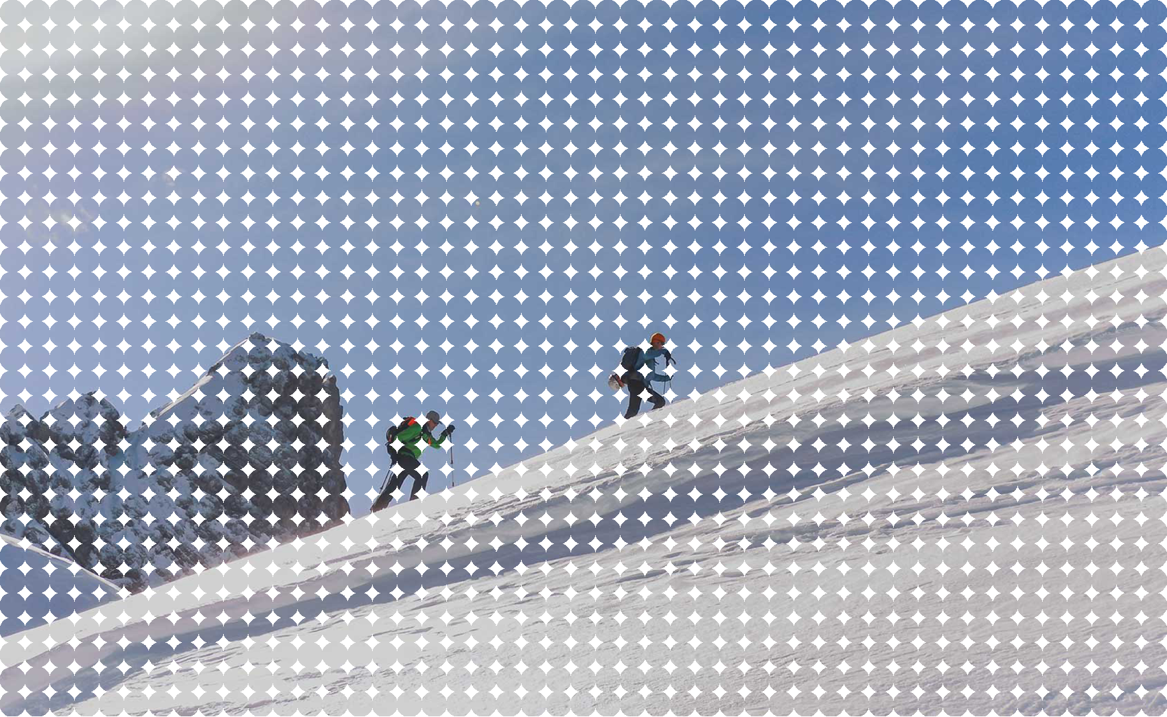 image de l'actualité numéro 1