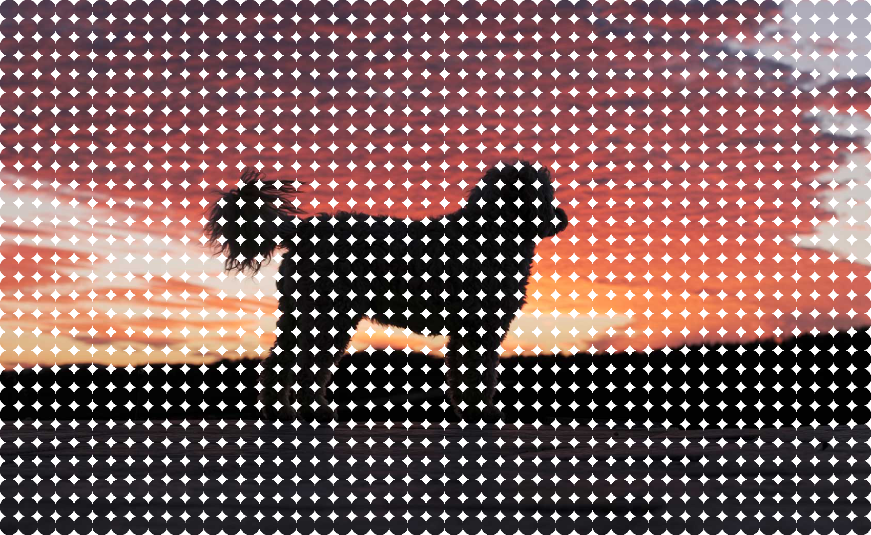 image de l'actualité numéro 5